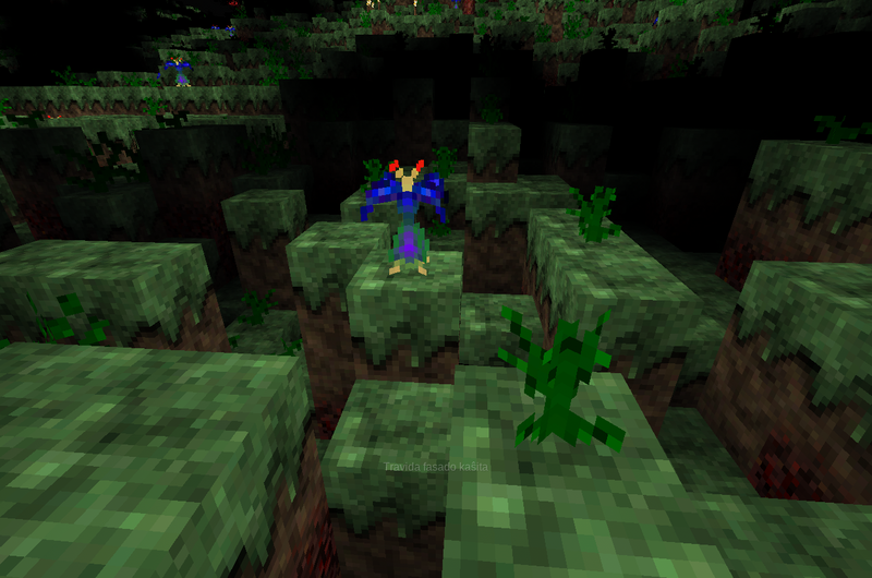 Файл:Biom-oldnether-pustosh-cvety-screenshot 20250123 130932.png